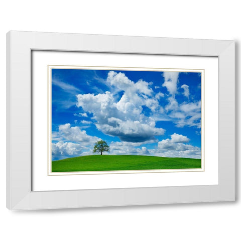 Oak and clouds, Bavaria, Germany White Modern Wood Framed Art Print with Double Matting by Frank, Krahmer