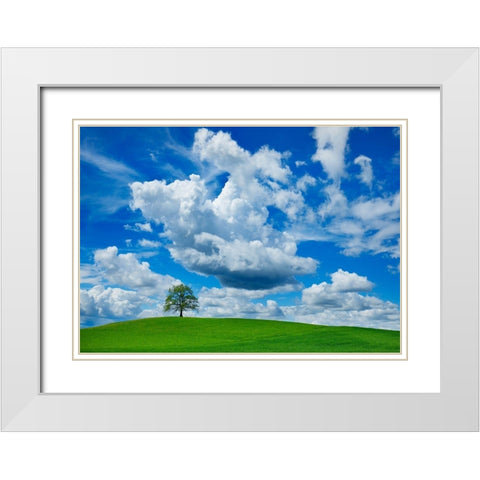 Oak and clouds, Bavaria, Germany White Modern Wood Framed Art Print with Double Matting by Frank, Krahmer