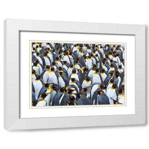 King penguin colony- Antarctica White Modern Wood Framed Art Print with Double Matting by Krahmer, Frank