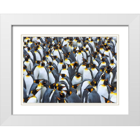 King penguin colony- Antarctica White Modern Wood Framed Art Print with Double Matting by Krahmer, Frank