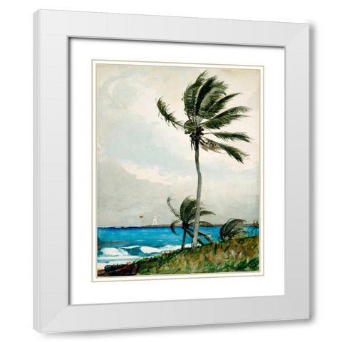 Palm Tree, Nassau White Modern Wood Framed Art Print with Double Matting by Homer, Winslow