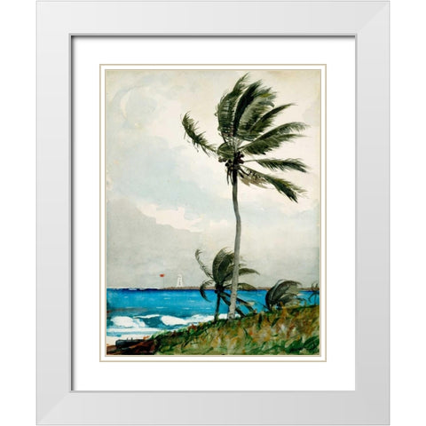 Palm Tree, Nassau White Modern Wood Framed Art Print with Double Matting by Homer, Winslow