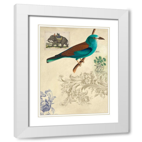 Cabinet of Curiosities n. 2 White Modern Wood Framed Art Print with Double Matting by Joannoo