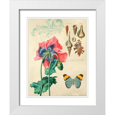 Cabinet of Curiosities n. 3 White Modern Wood Framed Art Print with Double Matting by Joannoo