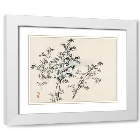 Bamboo White Modern Wood Framed Art Print with Double Matting by Bairei, Kono