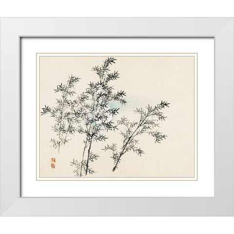 Bamboo White Modern Wood Framed Art Print with Double Matting by Bairei, Kono