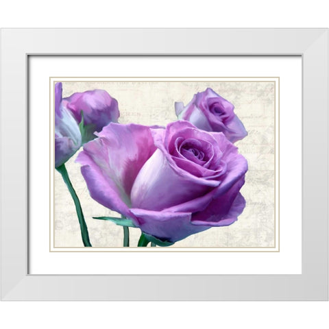 Porcelain White Modern Wood Framed Art Print with Double Matting by Thomlinson, Jenny