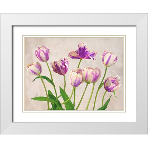 Tulipes White Modern Wood Framed Art Print with Double Matting by Thomlinson, Jenny