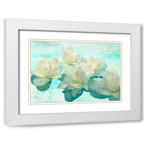 Nympheas White Modern Wood Framed Art Print with Double Matting by Parr, Kelly