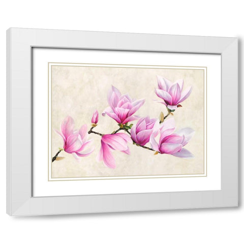 Ramo di magnolia White Modern Wood Framed Art Print with Double Matting by Villa, Luca