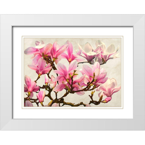 Magnolia Branch - neutral White Modern Wood Framed Art Print with Double Matting by Villa, Luca