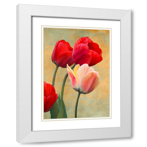 Ruby Tulips White Modern Wood Framed Art Print with Double Matting by Villa, Luca