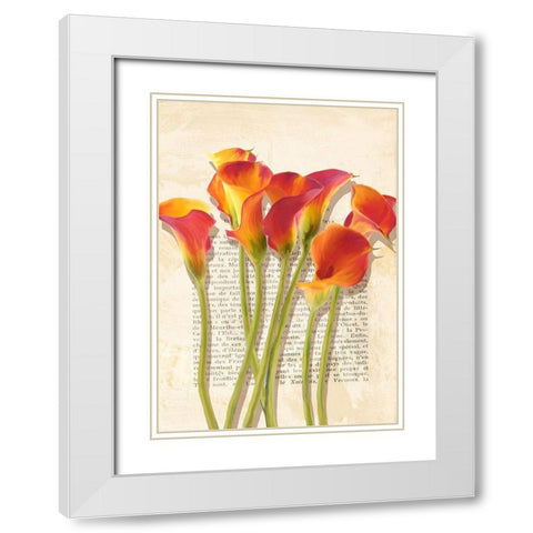 Callas et Histoires White Modern Wood Framed Art Print with Double Matting by Villa, Luca