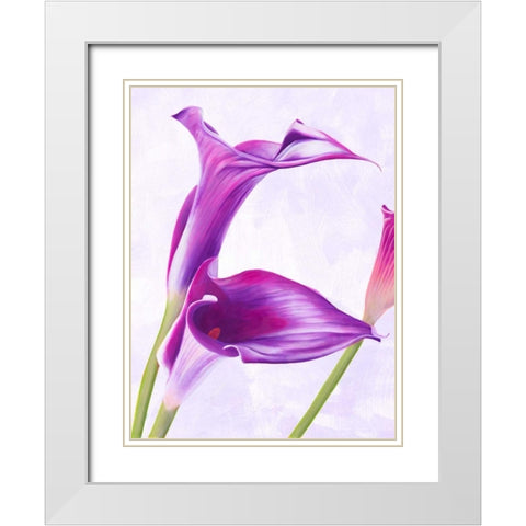 Duet I White Modern Wood Framed Art Print with Double Matting by Villa, Luca