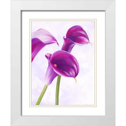 Duet II White Modern Wood Framed Art Print with Double Matting by Villa, Luca