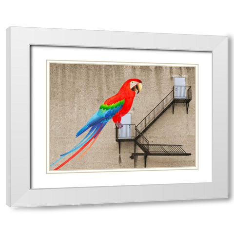 Escape from your cage White Modern Wood Framed Art Print with Double Matting by Masterfunk Collective