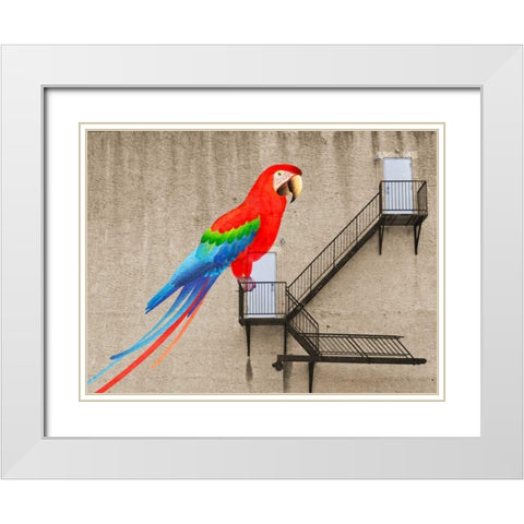 Escape from your cage White Modern Wood Framed Art Print with Double Matting by Masterfunk Collective