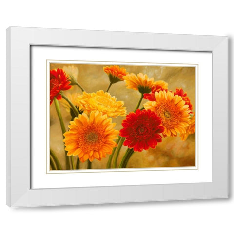 Gerbere nel sole White Modern Wood Framed Art Print with Double Matting by Biffi, Serena