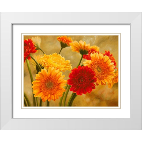 Gerbere nel sole White Modern Wood Framed Art Print with Double Matting by Biffi, Serena