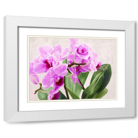 Orchidee selvagge White Modern Wood Framed Art Print with Double Matting by Jannace, Sergio