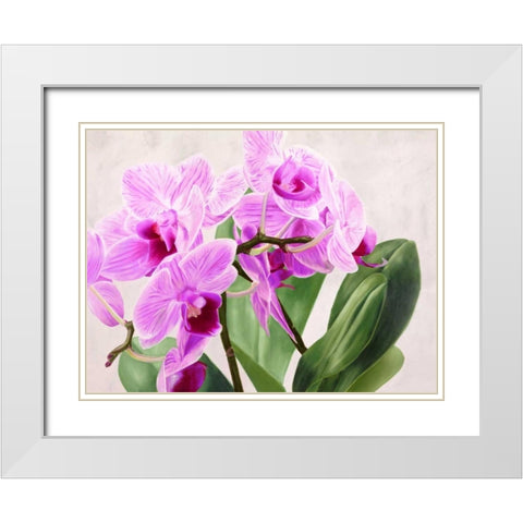 Orchidee selvagge White Modern Wood Framed Art Print with Double Matting by Jannace, Sergio