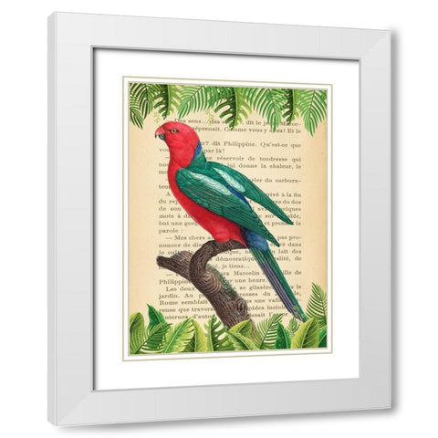 The Australian king parrot- After Levaillant White Modern Wood Framed Art Print with Double Matting by Lamanche, Stef