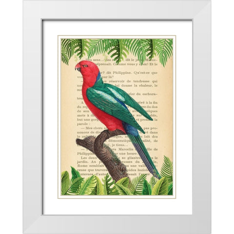 The Australian king parrot- After Levaillant White Modern Wood Framed Art Print with Double Matting by Lamanche, Stef