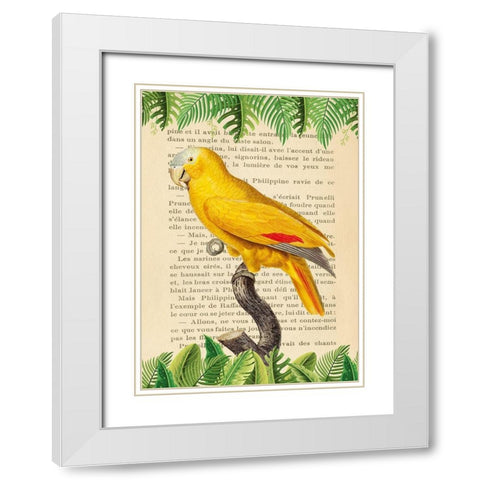 The Blue-Fronted Parrot- After Levaillant White Modern Wood Framed Art Print with Double Matting by Lamanche, Stef