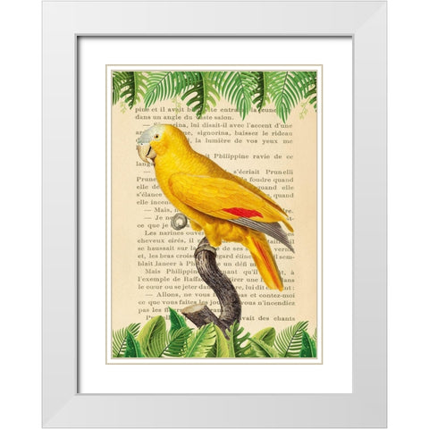 The Blue-Fronted Parrot- After Levaillant White Modern Wood Framed Art Print with Double Matting by Lamanche, Stef