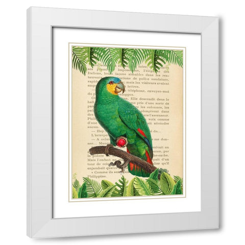 The Orange-Winged Amazon- After Levaillant White Modern Wood Framed Art Print with Double Matting by Lamanche, Stef