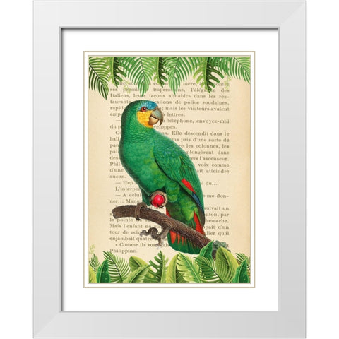 The Orange-Winged Amazon- After Levaillant White Modern Wood Framed Art Print with Double Matting by Lamanche, Stef