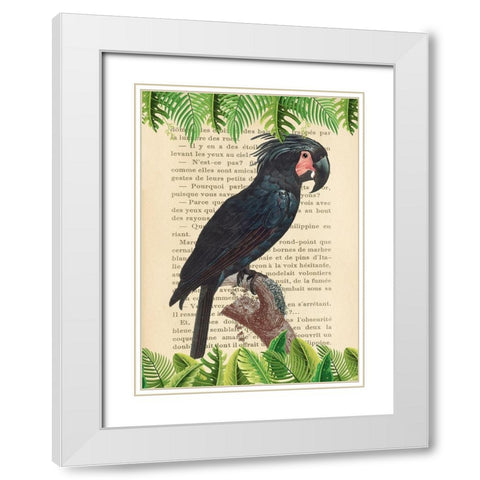 The Palm Cockatoo- After Levaillant White Modern Wood Framed Art Print with Double Matting by Lamanche, Stef