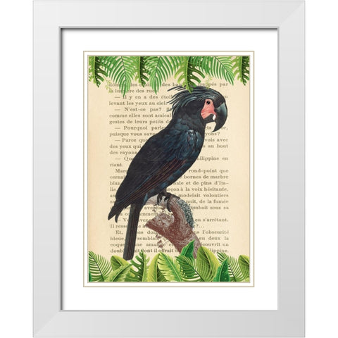 The Palm Cockatoo- After Levaillant White Modern Wood Framed Art Print with Double Matting by Lamanche, Stef