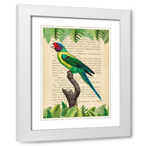 The Plum-Headed Parakeet- After Levaillant White Modern Wood Framed Art Print with Double Matting by Lamanche, Stef