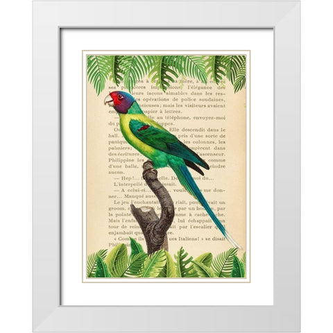 The Plum-Headed Parakeet- After Levaillant White Modern Wood Framed Art Print with Double Matting by Lamanche, Stef