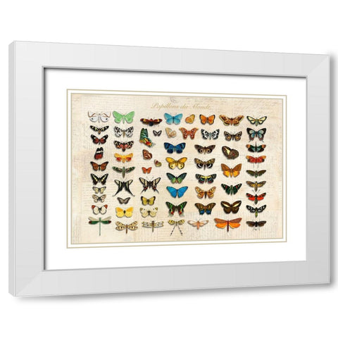 Papillons du Monde- After DOrbigny White Modern Wood Framed Art Print with Double Matting by Lamanche, Stef
