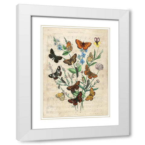 European Butterflies- After Kirby White Modern Wood Framed Art Print with Double Matting by Lamanche, Stef