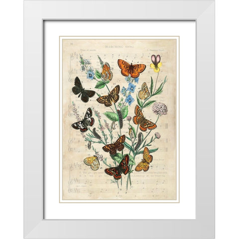 European Butterflies- After Kirby White Modern Wood Framed Art Print with Double Matting by Lamanche, Stef