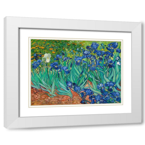 Irises White Modern Wood Framed Art Print with Double Matting by Van Gogh, Vincent