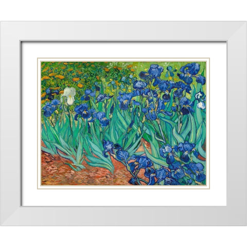 Irises White Modern Wood Framed Art Print with Double Matting by Van Gogh, Vincent