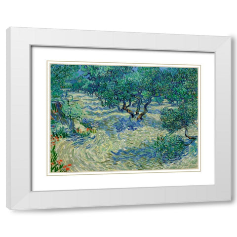 Olive Orchard White Modern Wood Framed Art Print with Double Matting by Van Gogh, Vincent