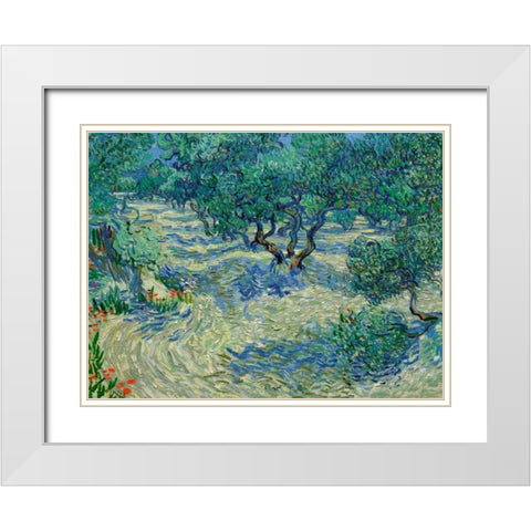 Olive Orchard White Modern Wood Framed Art Print with Double Matting by Van Gogh, Vincent