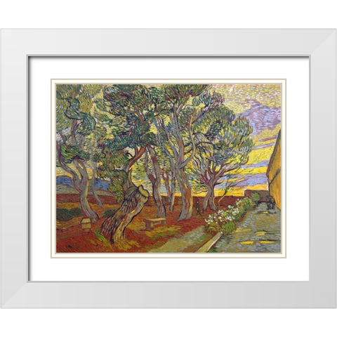 The garden of Saint Pauls Hospital White Modern Wood Framed Art Print with Double Matting by van Gogh, Vincent