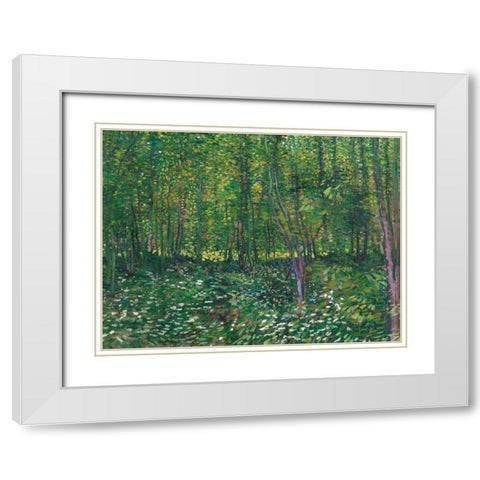 Trees and undergrowth White Modern Wood Framed Art Print with Double Matting by van Gogh, Vincent