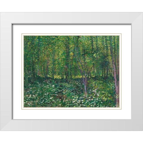 Trees and undergrowth White Modern Wood Framed Art Print with Double Matting by van Gogh, Vincent