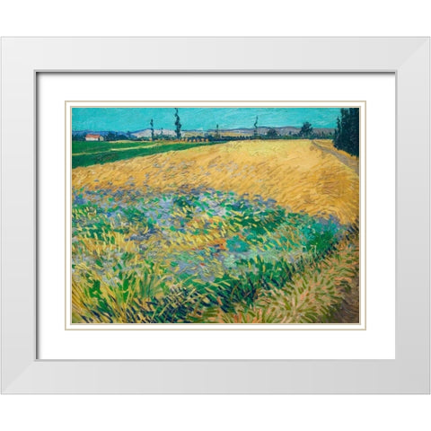 Wheatfield White Modern Wood Framed Art Print with Double Matting by van Gogh, Vincent