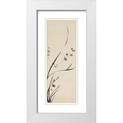 Orchids  White Modern Wood Framed Art Print with Double Matting by Anonymous