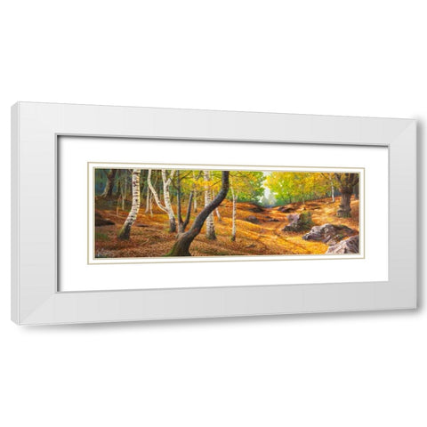Sentiero nel bosco White Modern Wood Framed Art Print with Double Matting by Galasso, Adriano
