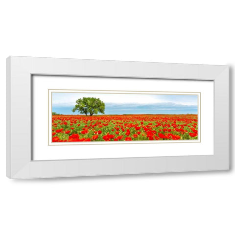 Tree in a poppy field White Modern Wood Framed Art Print with Double Matting by Anonymous