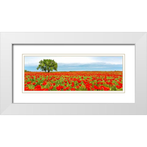 Tree in a poppy field White Modern Wood Framed Art Print with Double Matting by Anonymous
